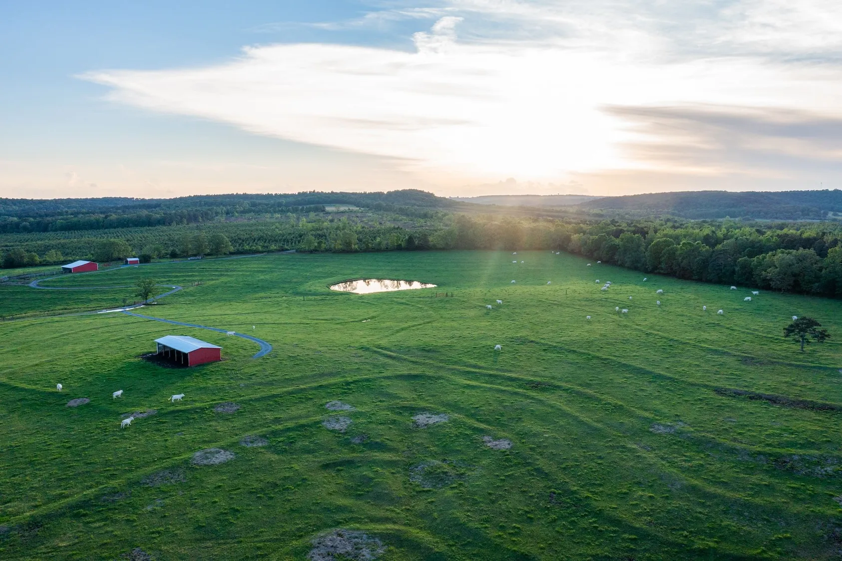 25 Ways to Make Your Land a Profitable Commodity